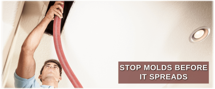 Air Duct Mold Removal in Houston