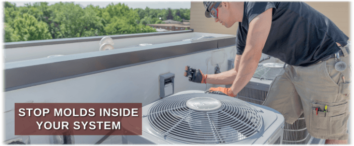 HVAC Mold Removal Houston